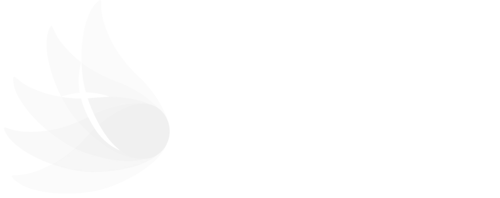 Carinity logo